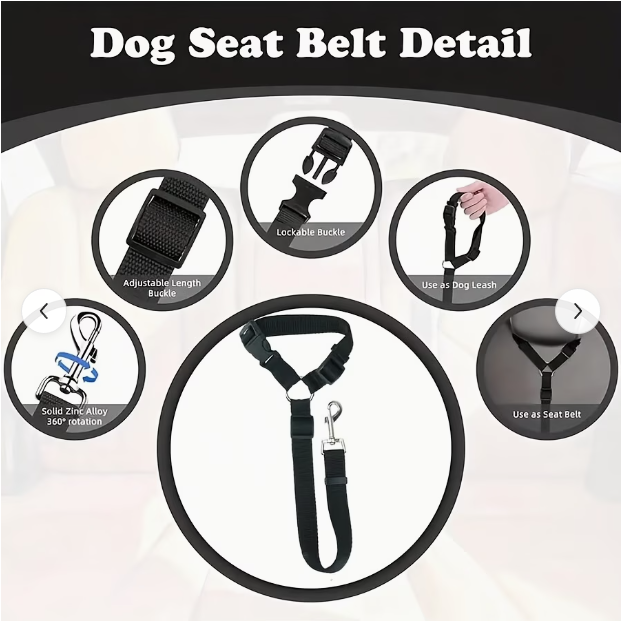 Seatbelt feature detail