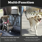 Multi-function seatbelt or leash